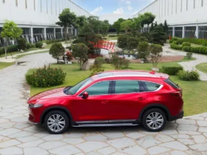 Top Các Dịch Vụ Thuê Xe Vũng Tàu Uy Tín [Cập Nhật 2025]